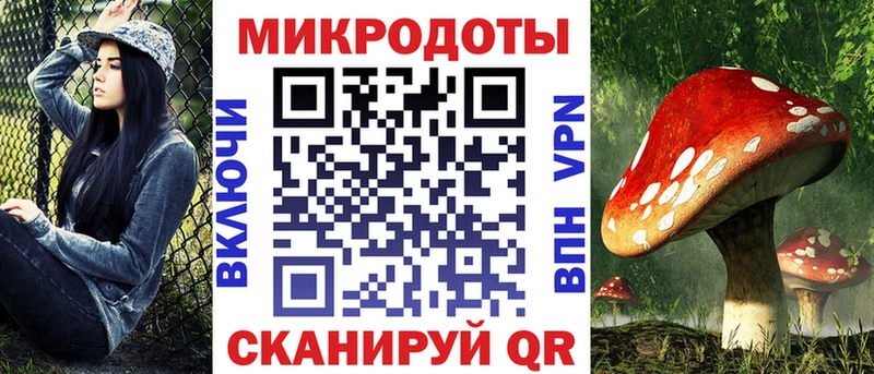 Купить закладки  Новоульяновск  Псилоцибиновые грибы прущие грибы 